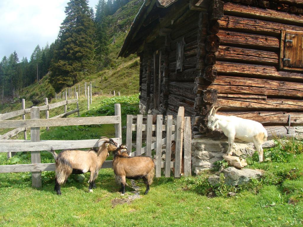Landhotel Haeuserl Im Wald Grobming Exteriör bild