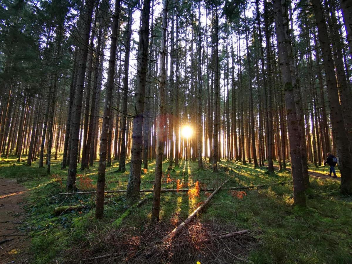 Landhotel Haeuserl Im Wald Grobming Exteriör bild